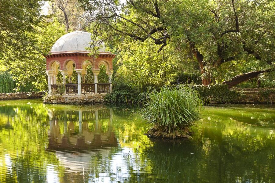 Andalusia and Barcelona 7-Day Package Tour From Madrid - Day 6: Barcelona historic neighborhoods, Montjuic views, and the Gothic Quarter
