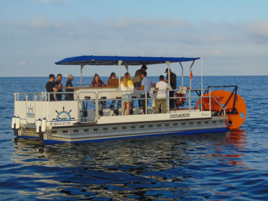 Barcelona: 1.5-Hour Private Scenic Pedal Boat Tour - Key Points Worth Signing Up For