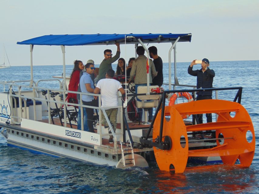 Barcelona: 1.5-Hour Private Scenic Pedal Boat Tour - Drinks, Music, and Group Vibes: Great for Celebrations