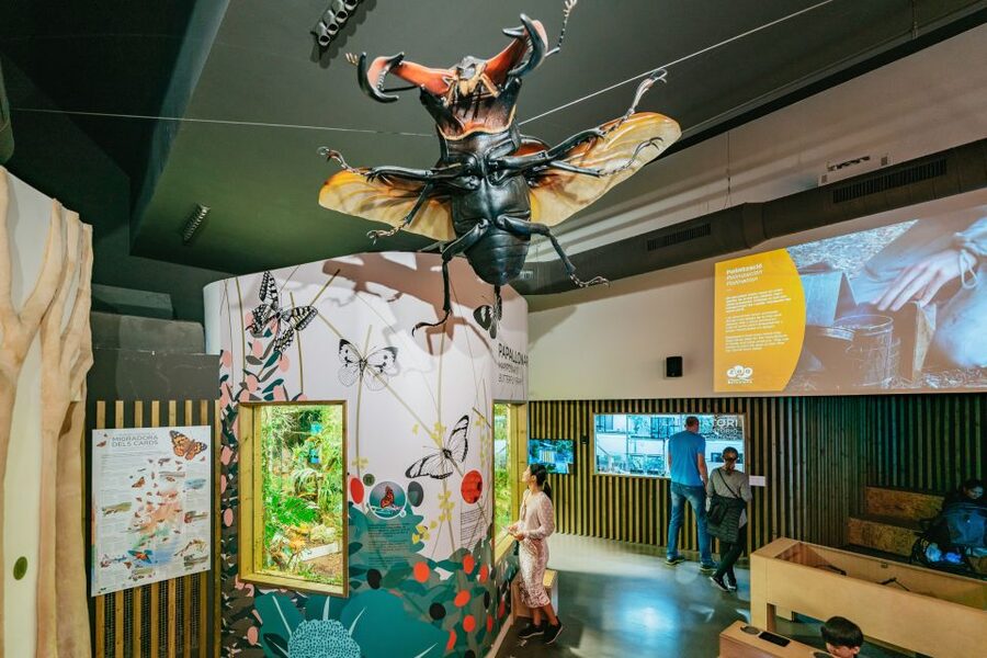 Barcelona: 1-Day Ticket to Barcelona Zoo - Barcelona Zoo in Ciutadella Park, Why It’s a Smart One-Day Ticket