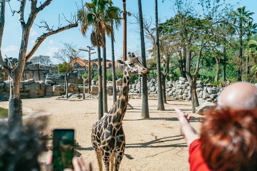 Barcelona: 1-Day Ticket to Barcelona Zoo - Price and Value at About $27: What You Get, What You Don’t