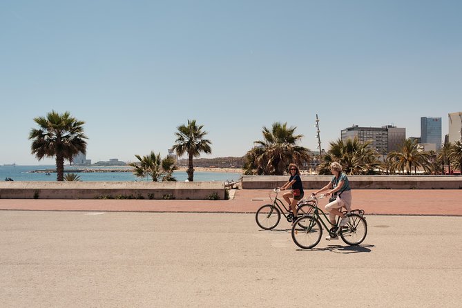 Barcelona 3-hour Bike or E-Bike Tour: Highlights and Hidden Gems - Starting at Plaça Reial, where the tour clicks into place