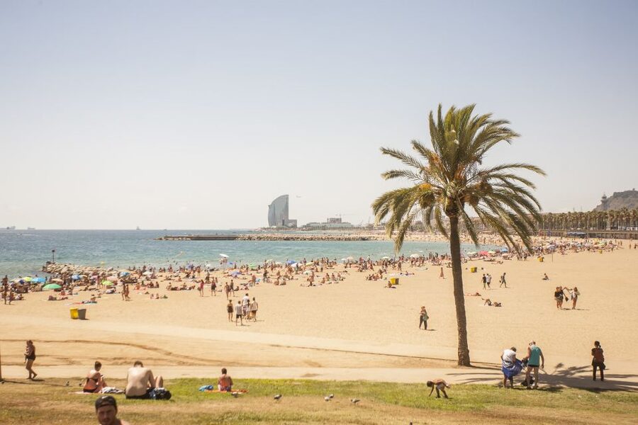 Barcelona: 3-Hour Segway Sightseeing Tour - Price, group size, and value at $81 per person