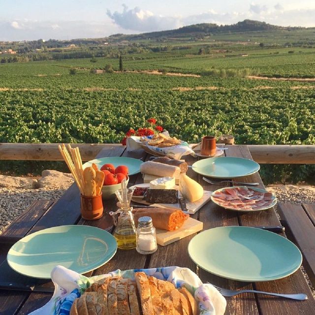 Barcelona: 3 Penedes Wineries with Hotel Pick-up and Lunch - Cava Country in One Day, with the Right Pace