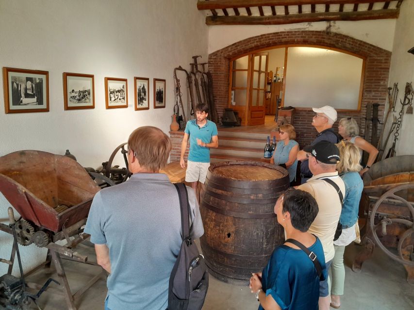 Barcelona: 3 Penedes Wineries with Hotel Pick-up and Lunch - What You’re Really Getting for $206