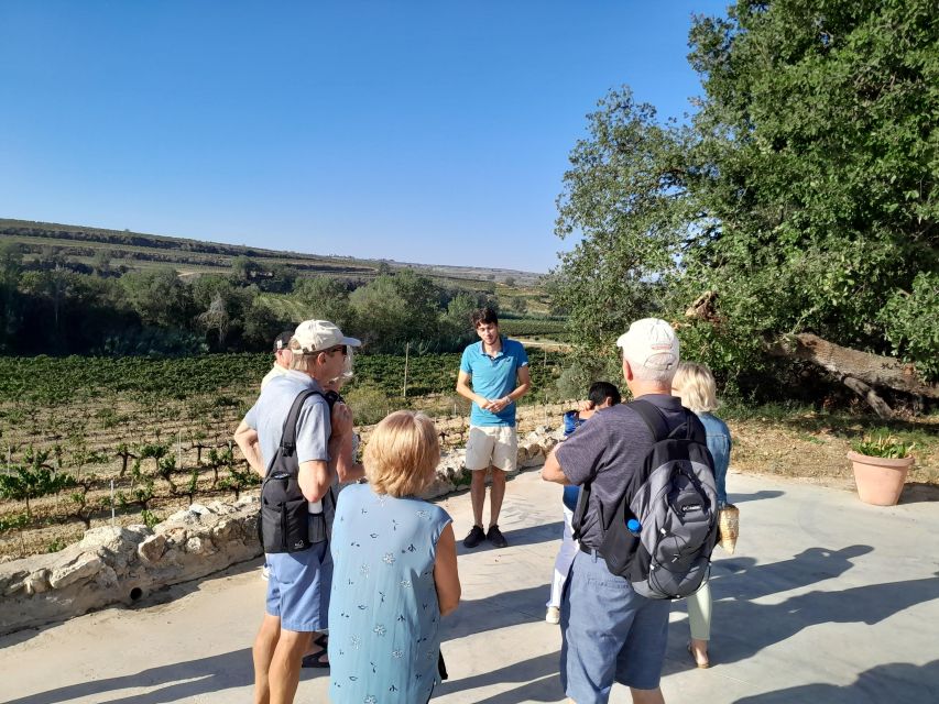 Barcelona: 3 Penedes Wineries with Hotel Pick-up and Lunch - Small Group Size: Why It Matters More Than You Think