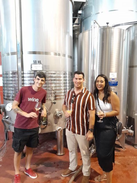 Barcelona: 3 Penedes Wineries with Hotel Pick-up and Lunch - Who This Tour Suits Best (and Who Should Skip It)