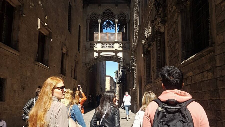 Barcelona: 4-Hour Tapas Evening Tour and Flamenco Show - Who This Tour Fits Best, and Who Might Want Something Different