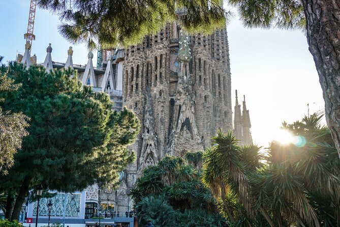 Barcelona all included: Sagrada, Park Güell, Montjuic & Gothic - Walking, timing, and small group pace: what it feels like in real life