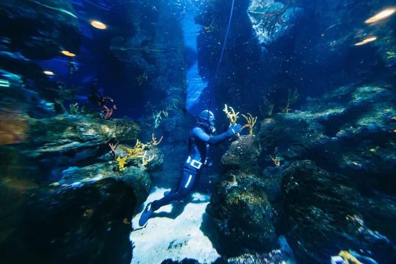 Barcelona Aquarium: Entry Ticket - Should you book L’Aquàrium de Barcelona entry tickets?