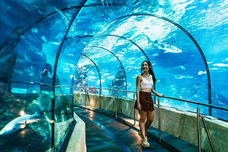 Barcelona Aquarium: Entry Ticket - 35 tanks, 11,000 animals: Mediterranean plus tropical variety