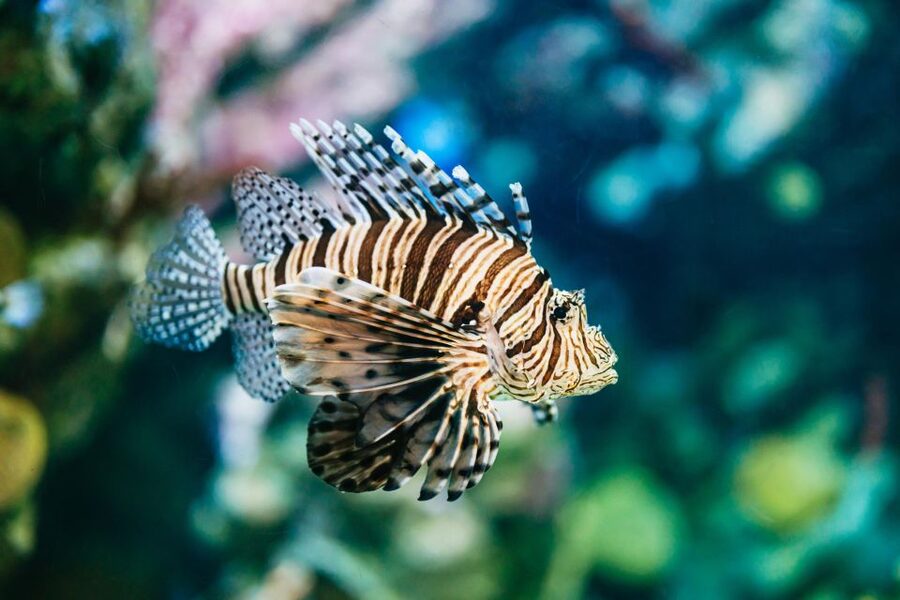 Barcelona Aquarium: Entry Ticket - Food, café breaks, and the shop reality check
