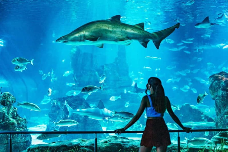 Barcelona Aquarium: Entry Ticket - Comfort tips: crowd levels, heat breaks, and bathrooms