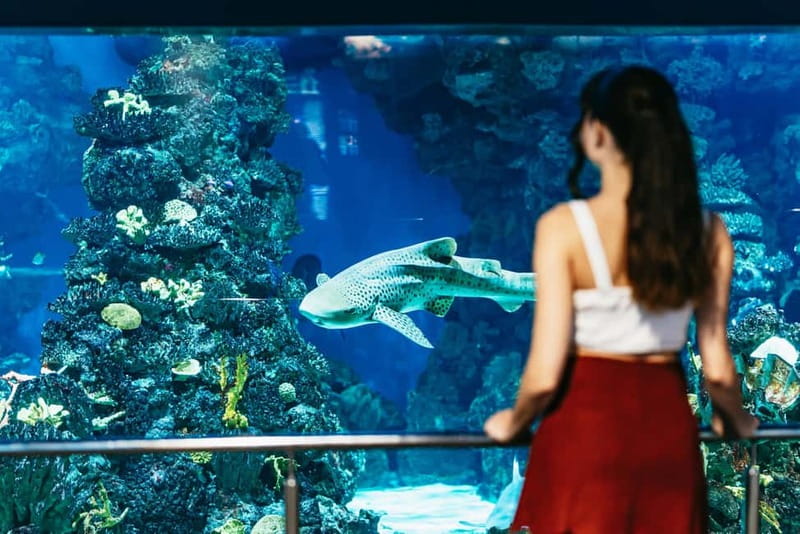 Barcelona Aquarium: Entry Ticket - Value: does $31 for entry ticket make sense?