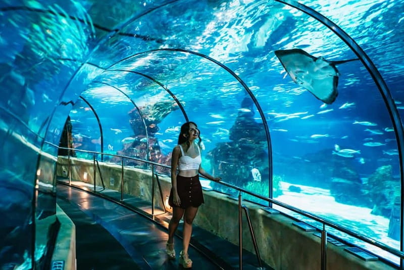 Barcelona Aquarium: Entry Ticket - Ticket timing: how to plan your day around the last entry