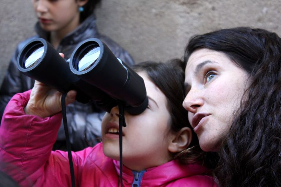 Barcelona: Barrio Gótico Dragon Tour for Families - Who This Tour Fits Best (And Who Should Think Twice)