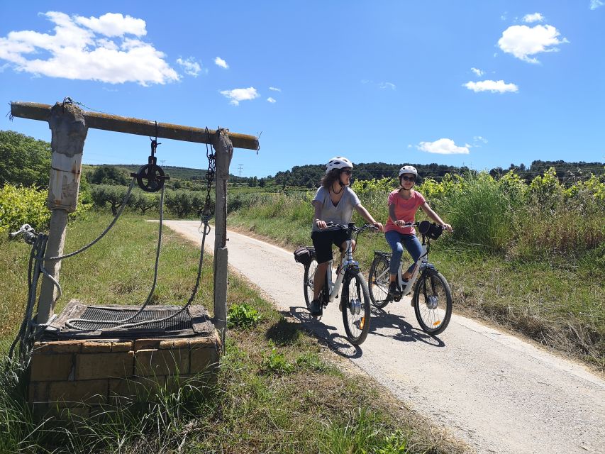 Barcelona: Bike & Wine Guided Tour - Penedès vineyards - Key Things You’ll Notice on This Penedès Bike and Wine Tour