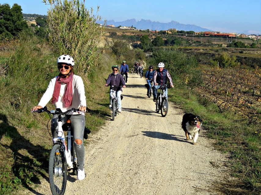 Barcelona: Bike & Wine Guided Tour - Penedès vineyards - Practical Tips Before You Go