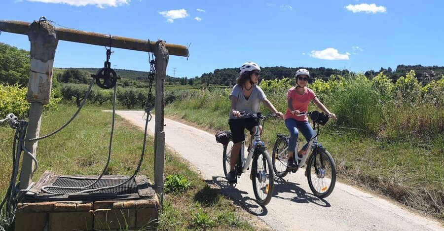 Barcelona: Bike & Wine Guided Tour - Penedès vineyards - The Ride: How the Vineyards Feel in Motion