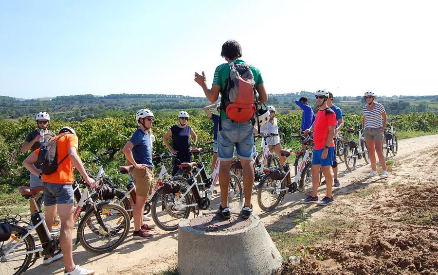 Barcelona: Bike & Wine Guided Tour - Penedès vineyards - Meeting Your Guide and Getting the “Local Lens”
