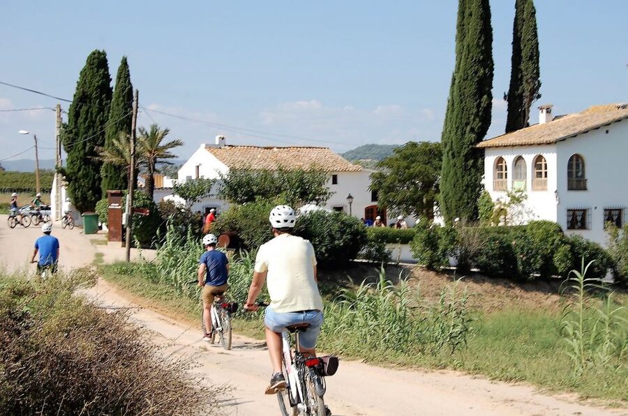 Barcelona: Bike & Wine Guided Tour - Penedès vineyards - Tasting Wine and Cava: Three Glasses That Teach You