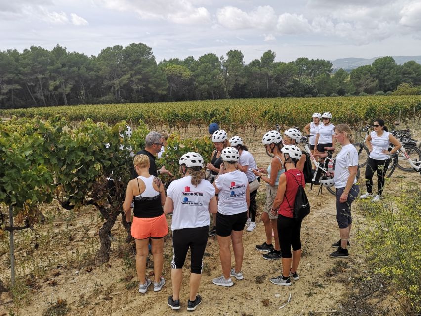 Barcelona: Bike & Wine Guided Tour - Penedès vineyards - Pricing and Value: What $96 Really Covers