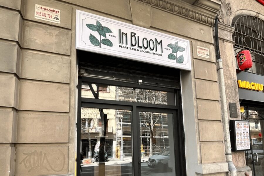 Barcelona: Catalan Cuisine cooking course 100% vegan - What You’ll Learn Beyond Recipes (The Stuff That Makes You Want a Repeat Meal)