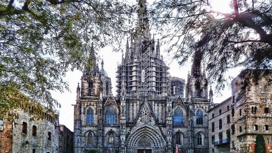 Barcelona Cathedral: Exclusive walking tour & entry tickets. - Inside Barcelona Cathedral with your ticket: what you get (and what you don’t)