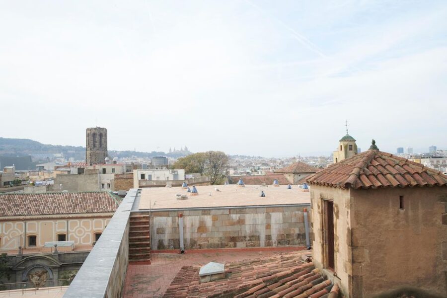 Barcelona Cathedral: Ticket, Guided Tour and VR Experience - Who Should Book This Cathedral Tour (and Who Should Skip It)