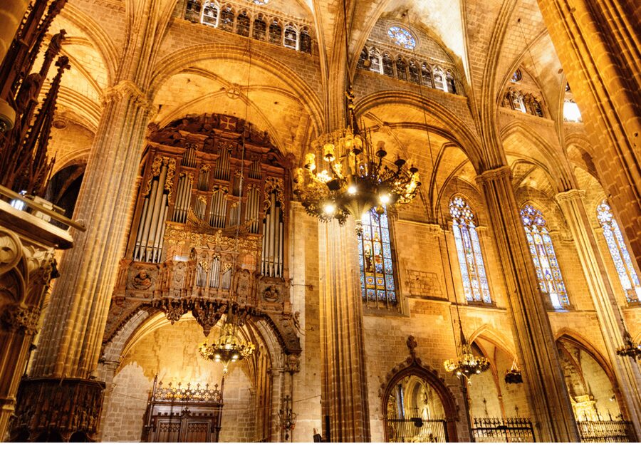Barcelona Cathedral: Ticket, Guided Tour and VR Experience - Terrace and Rooftop Views: When Barcelona Turns Into a Cathedral Backdrop