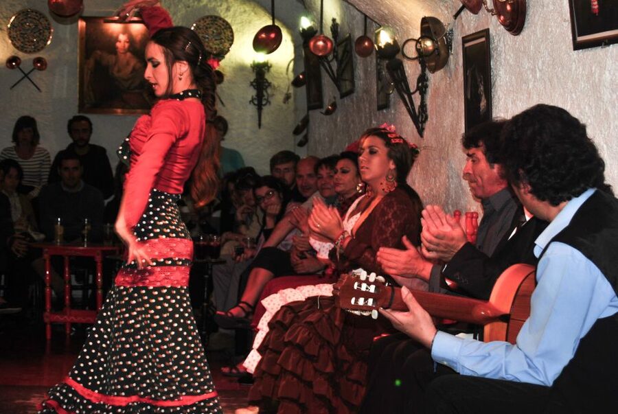 Barcelona: City Tour & Flamenco Show with Wine & Tapas - Drinks and food, what is included and what you may pay for later