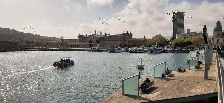 Barcelona: City Views Catamaran Cruise with Music - Key things you should know before you sail
