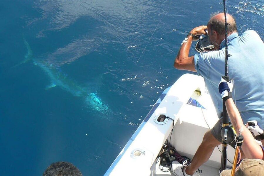 Barcelona: Coastal Fishing Trip - Why Barcelona’s Coast Fishing Feels Like More Than a Tour