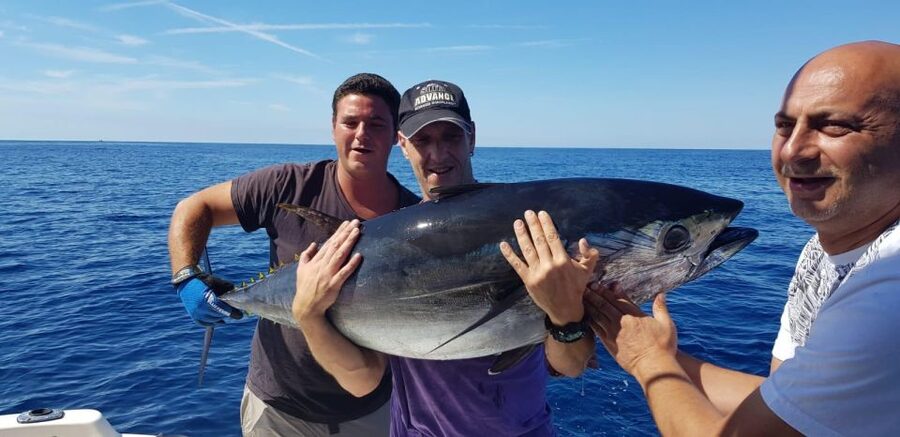 Barcelona: Coastal Fishing Trip - Seasonal Fishing Tactics You Can Actually Plan Around