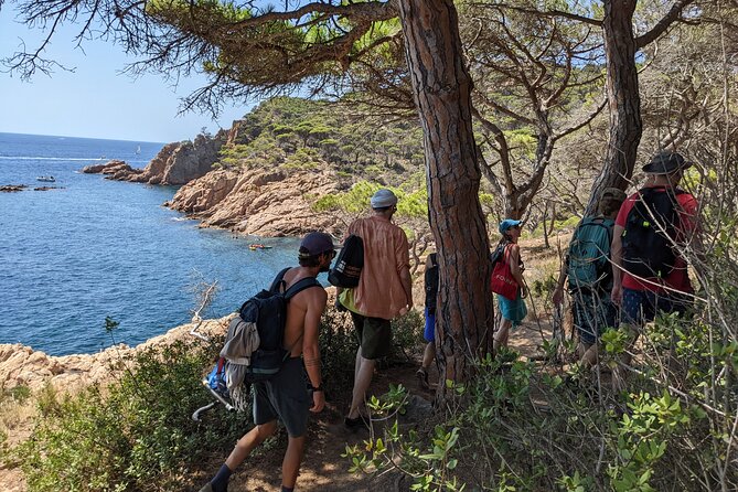 Barcelona: Costa Brava Easy Hike, Snorkel, Cliff-Jump & Meal - Snorkeling in a protected coastal area: gear is included, comfort is up to you