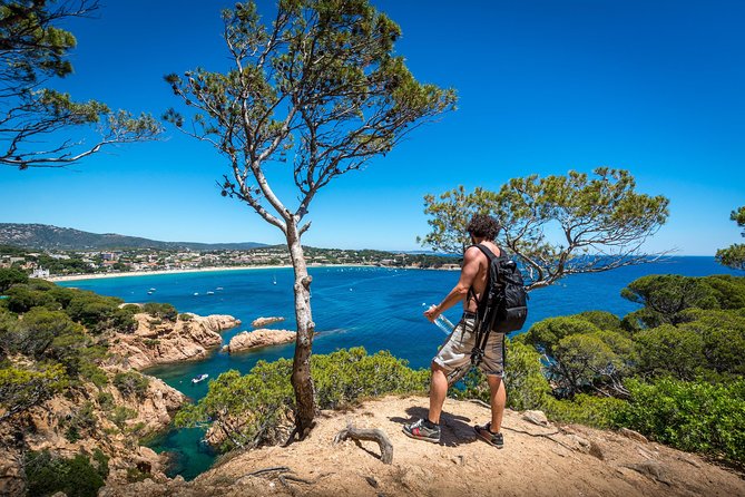Barcelona: Costa Brava Easy Hike, Snorkel, Cliff-Jump & Meal - The hike: easy-ish, but you earn the views