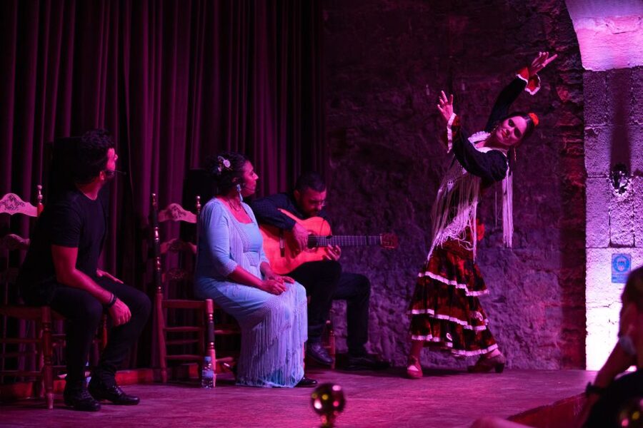 Barcelona: Flamenco Show at Palau Dalmases - The 50 to 55 minute show: the flow of song, guitar, and dance