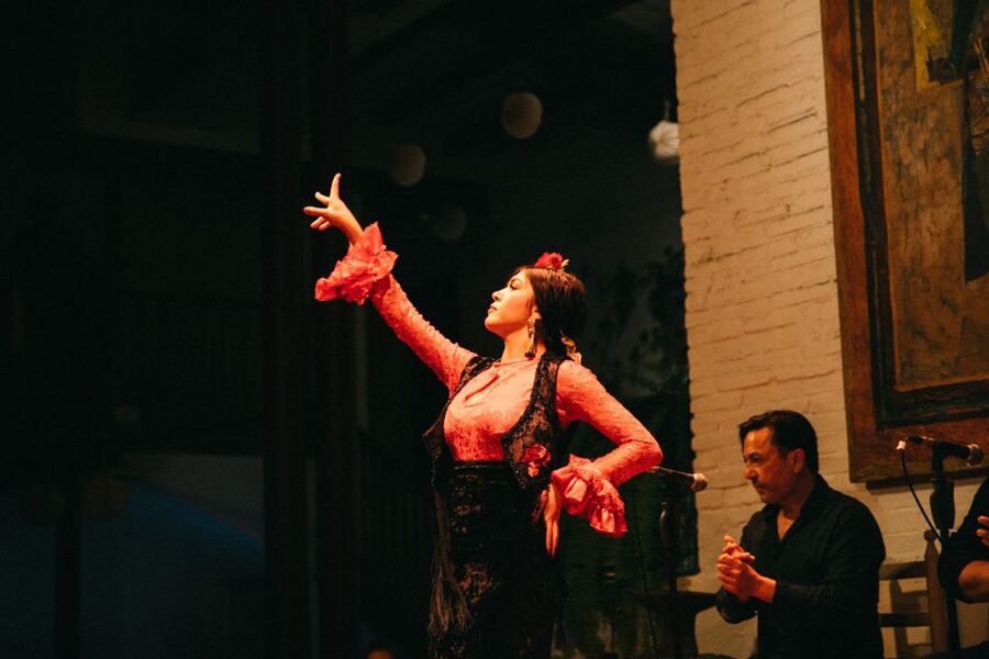 Barcelona: Flamenco Show with Dinner at Tablao de Carmen - What You Should Bring (And What You Should Not Expect)