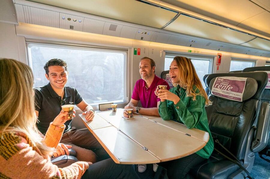 Barcelona: Girona Private Guided Tour by High-Speed Train - High-speed train to Girona: the smooth part of the day