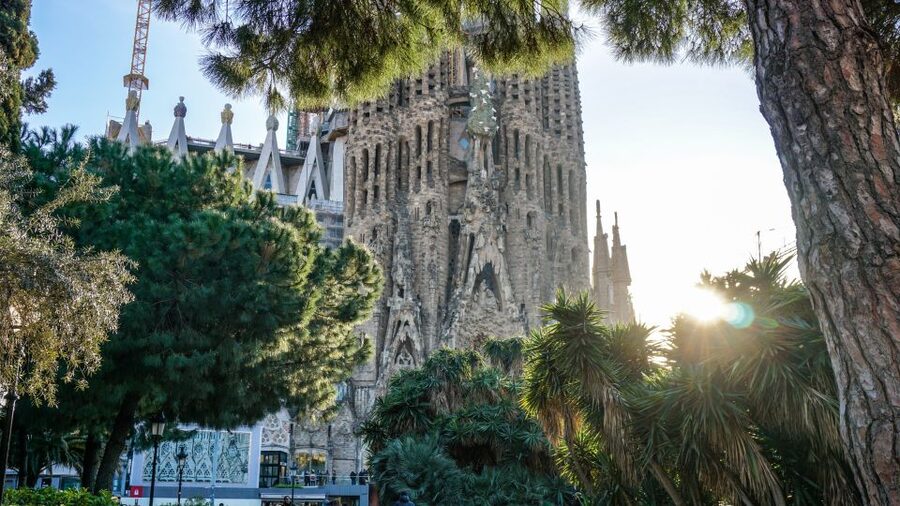 Barcelona: Gothic Quarter & La Sagrada Familia Private Tour - Key highlights you will feel right away