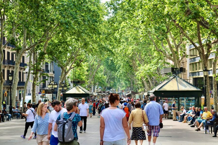 Barcelona: Gothic Quarter & La Sagrada Familia Private Tour - Montjuïc hill views, plus a car ride that makes the day make sense