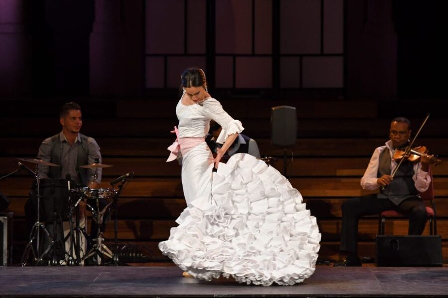 Barcelona: Gran Gala Flamenco Show Entry Ticket - Palau de la Música vs Teatre Poliorama: pick the feel
