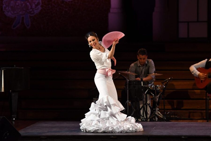 Barcelona: Gran Gala Flamenco Show Entry Ticket - Who should book this flamenco gala, and who might skip it?