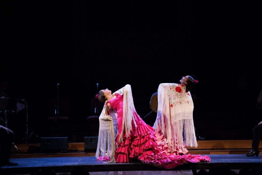Barcelona: Gran Gala Flamenco Show Entry Ticket - Should you book Gran Gala Flamenco in Barcelona?