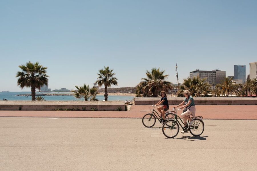 Barcelona: Guided Bike or E-Bike City Tour - Ciutadella Park and Arc de Triomf: The Break That Makes the Tour Work
