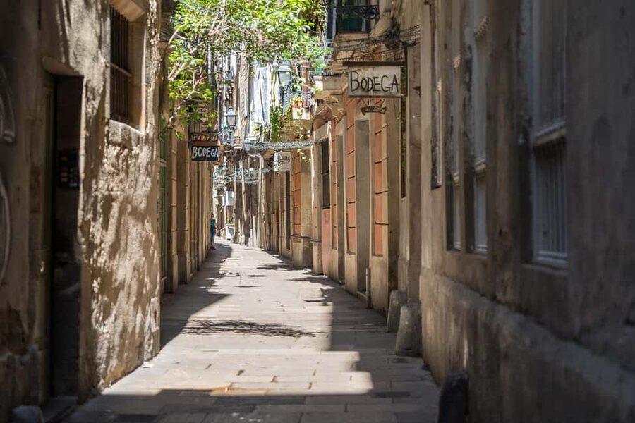Barcelona guided tour in French - Plaza Sant Jaume Area: Catalan Identity, Explained Without Fog