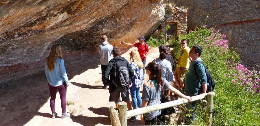 Barcelona: Half-Day Montserrat Monastery and Mountain Hike - The Hike in Montserrat Nature Park: Paths, Views, and Real Movement