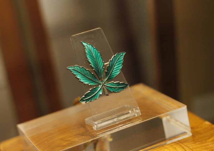 Barcelona: Hash Marihuana & Hemp Museum Entry Ticket - Live hemp plants and the growing season timing