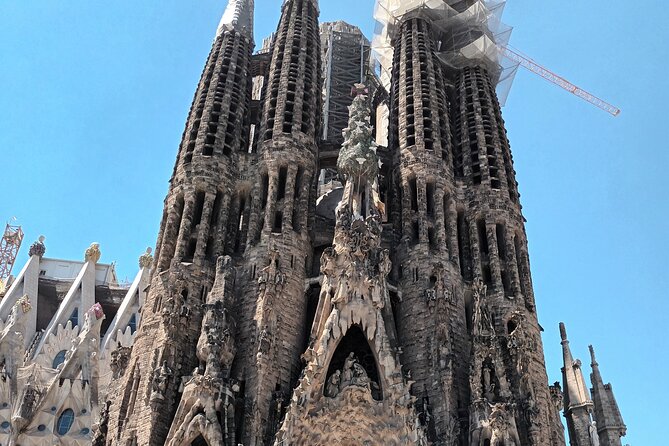 Barcelona Highlights Bike Tour - Key Things to Know Before You Ride