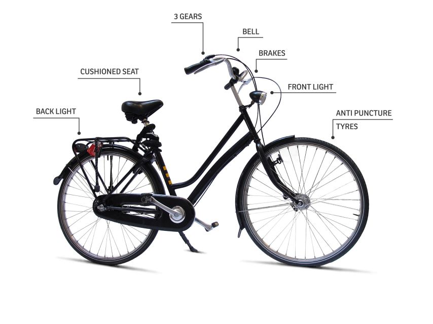 Barcelona Highlights Bike Tour: Cycle along the beach! - Barceloneta on bikes: the sea-sun payoff you came for